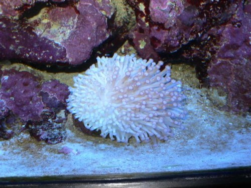 mlf7 008 (Small).jpg