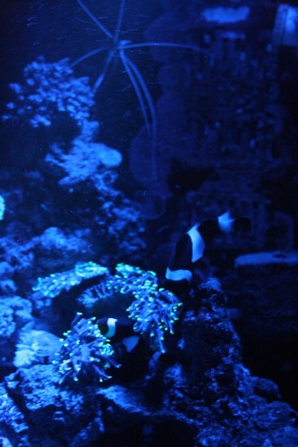 IMG_5494.JPG