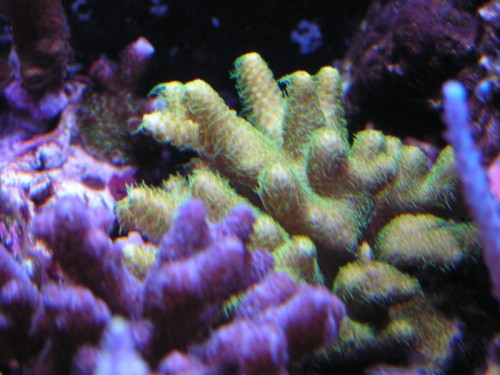forum pic 121.jpg