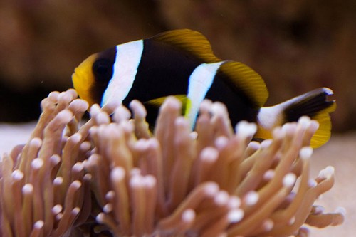 MACRO (13 of 21).jpg