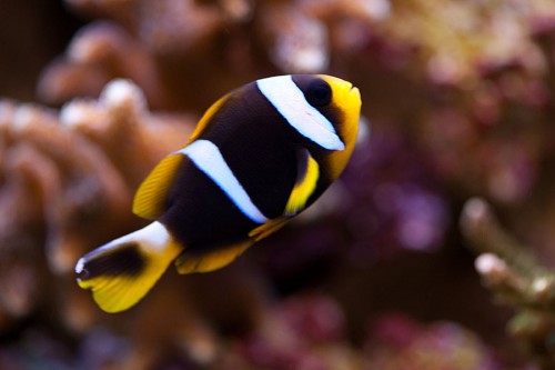 MACRO (12 of 21).jpg