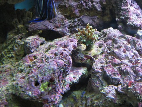 akvarie2.JPG