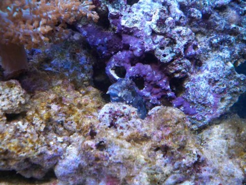 100_0273.JPG