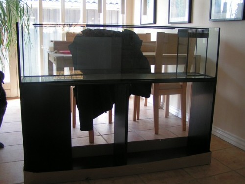 PICT1740.JPG