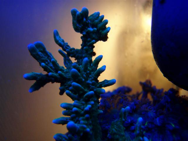 P8151262 (Small).JPG