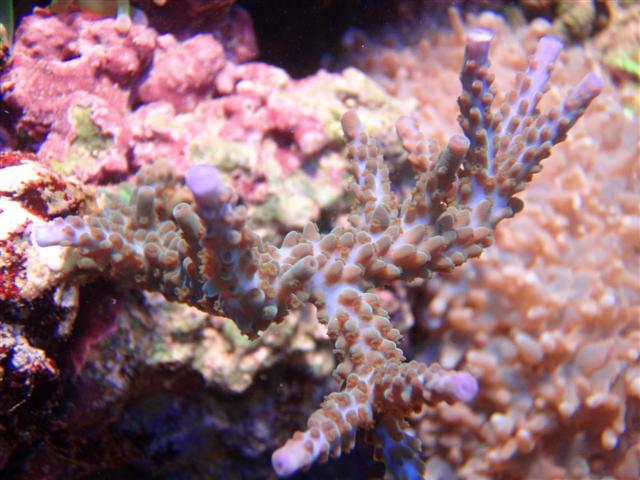 P8161323 (Small).JPG