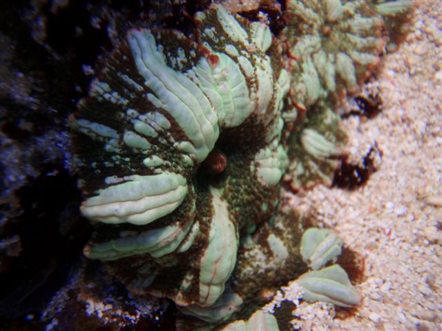 P8161317 (Small).JPG