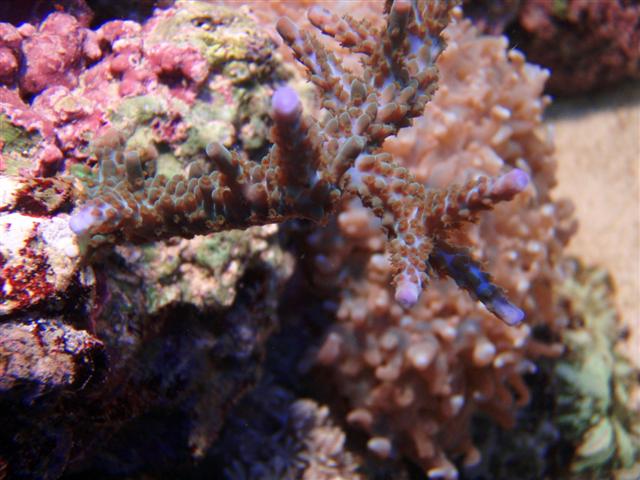 P8161302 (Small).JPG
