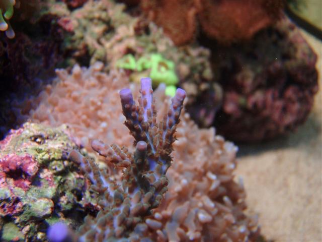 P8161301 (Small).JPG
