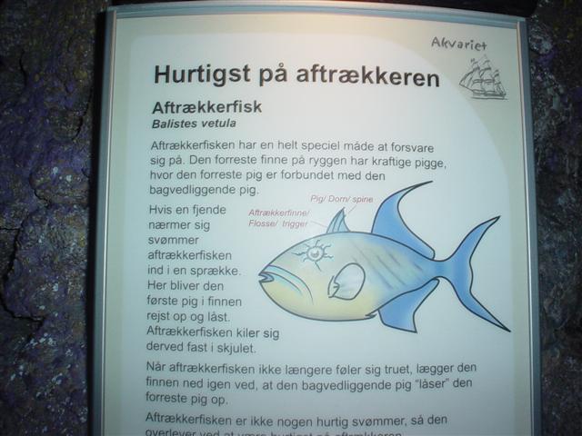 Info