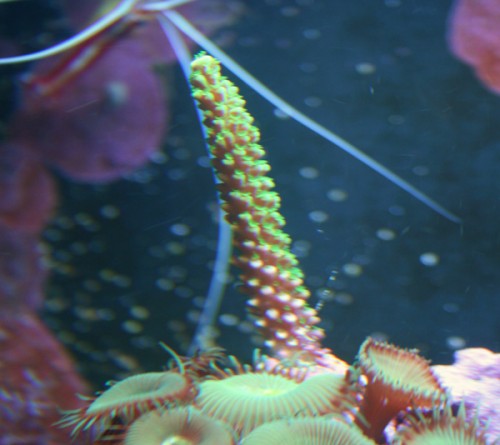 IMG_5872.jpg