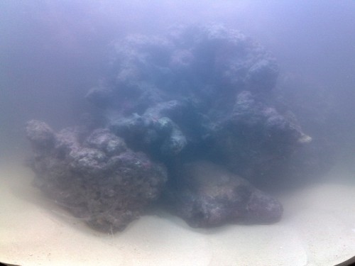 05052010134.jpg