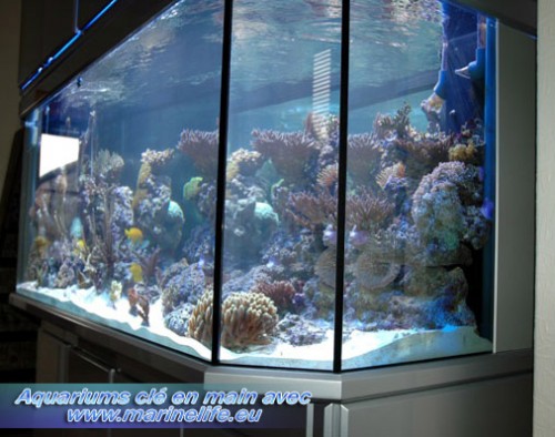deltec-marinelife-Panorama-Trendline.jpg