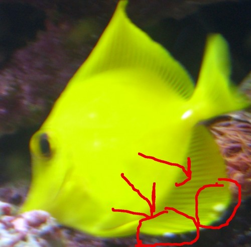 03.JPG