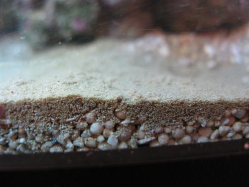 IMG_4749 (Medium).JPG