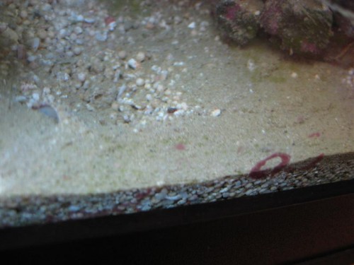 IMG_4752 (Medium).JPG