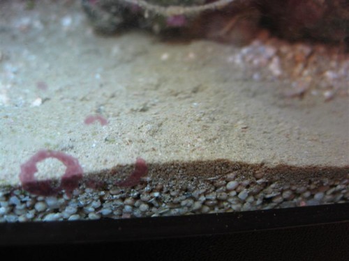 IMG_4754 (Medium).JPG