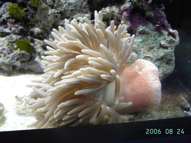 PICT0779.JPG