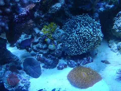 P6090333.jpg