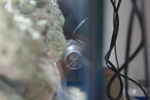 Saltvand 2.jpg (25.75 KiB) Vist 1480 gange Bag ved stenene.