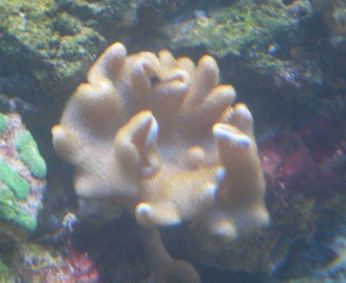 SDC10475.JPG