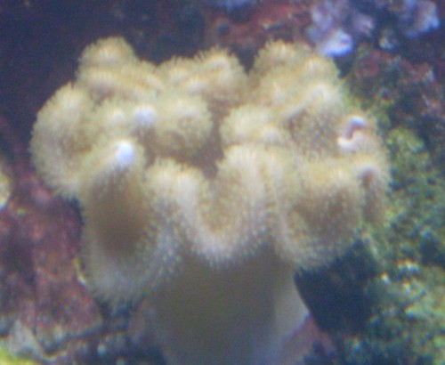 SDC10476.JPG