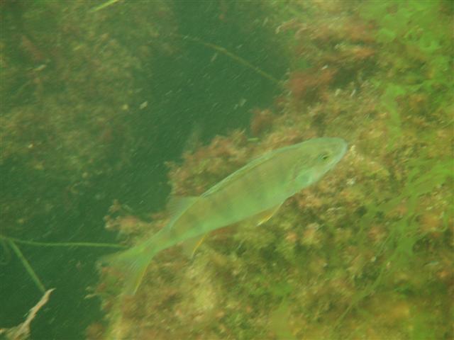 P8261565 (Small).JPG