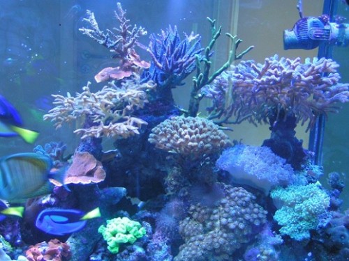 PICT1815.JPG
