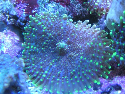 PICT1843.JPG
