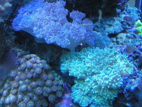 PICT1875.JPG