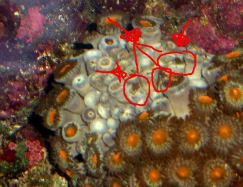 CIMG5744.JPG