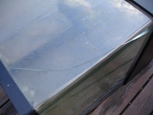 DSC04489 [1600x1200].JPG