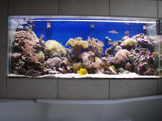 P8271769 (Small).JPG