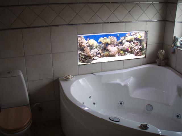 P8271766 (Small).JPG