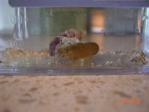 CIMG2830 (Small).JPG