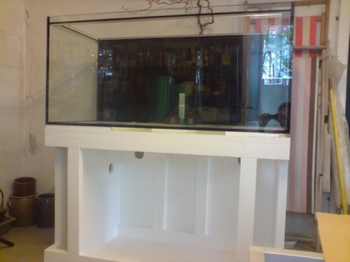 DSC01332 [DVD (PAL)].jpg