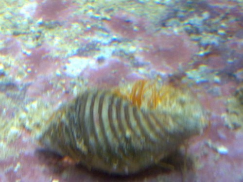 13062010165.jpg