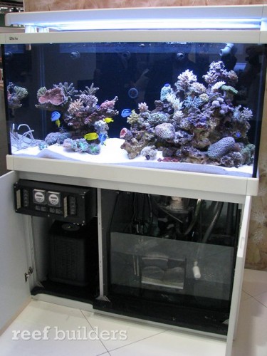 red-sea-max-500-12.jpg