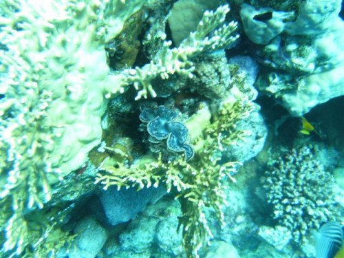 PICT0505 (Small).JPG