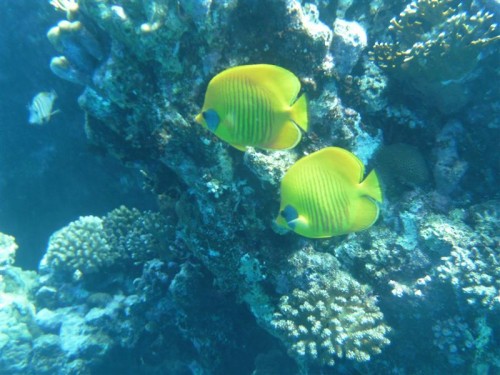 PICT0543 (Medium).JPG