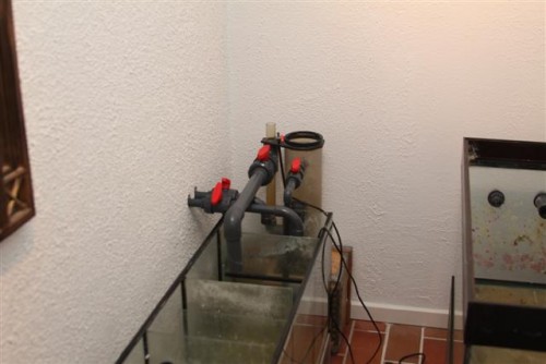 skummer gøres klar