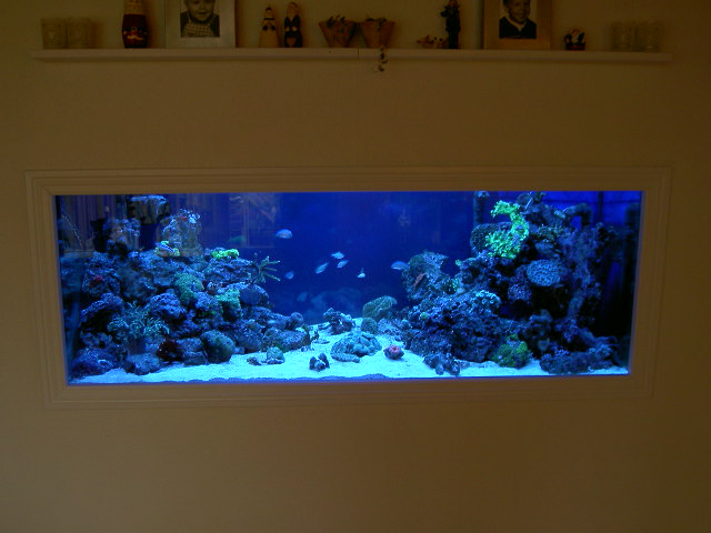 PICT0625.JPG