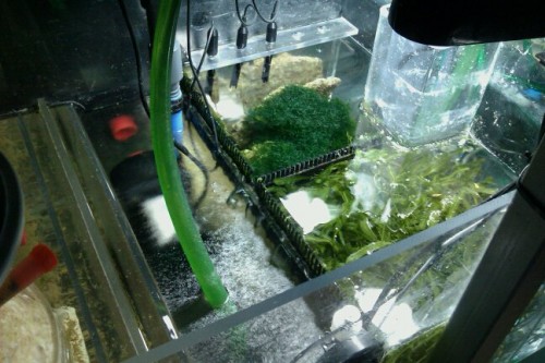 sump2.jpg