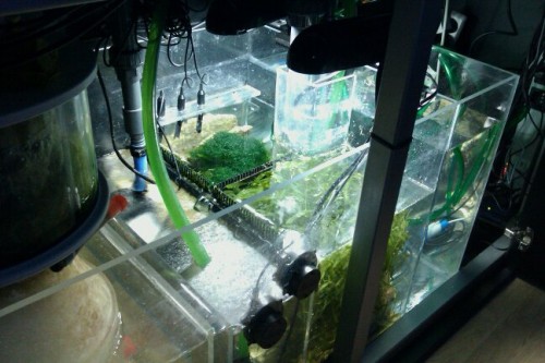 sump3.jpg
