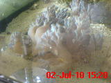 DSC00005.JPG