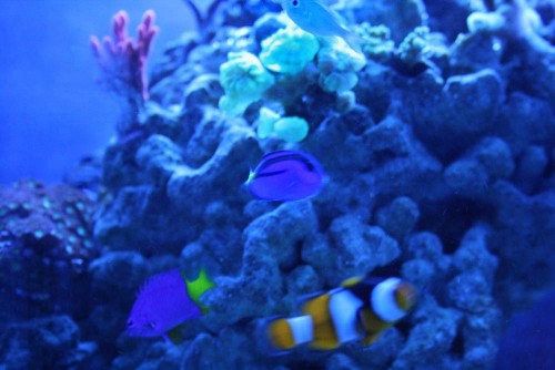IMG_6745.jpg