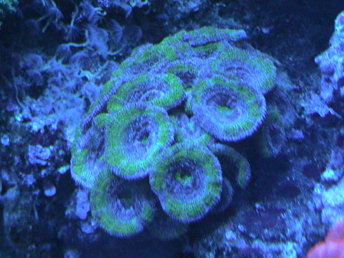 DSC00016.JPG