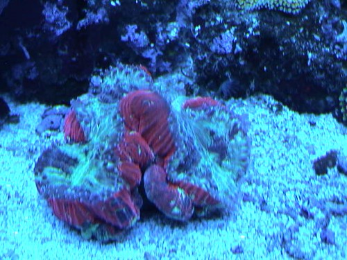 DSC00013.JPG