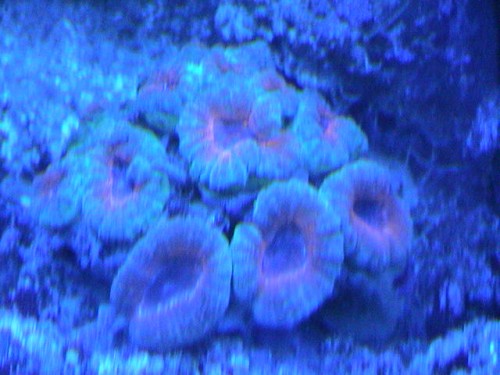 DSC00009.JPG