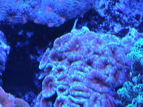 DSC00007.JPG